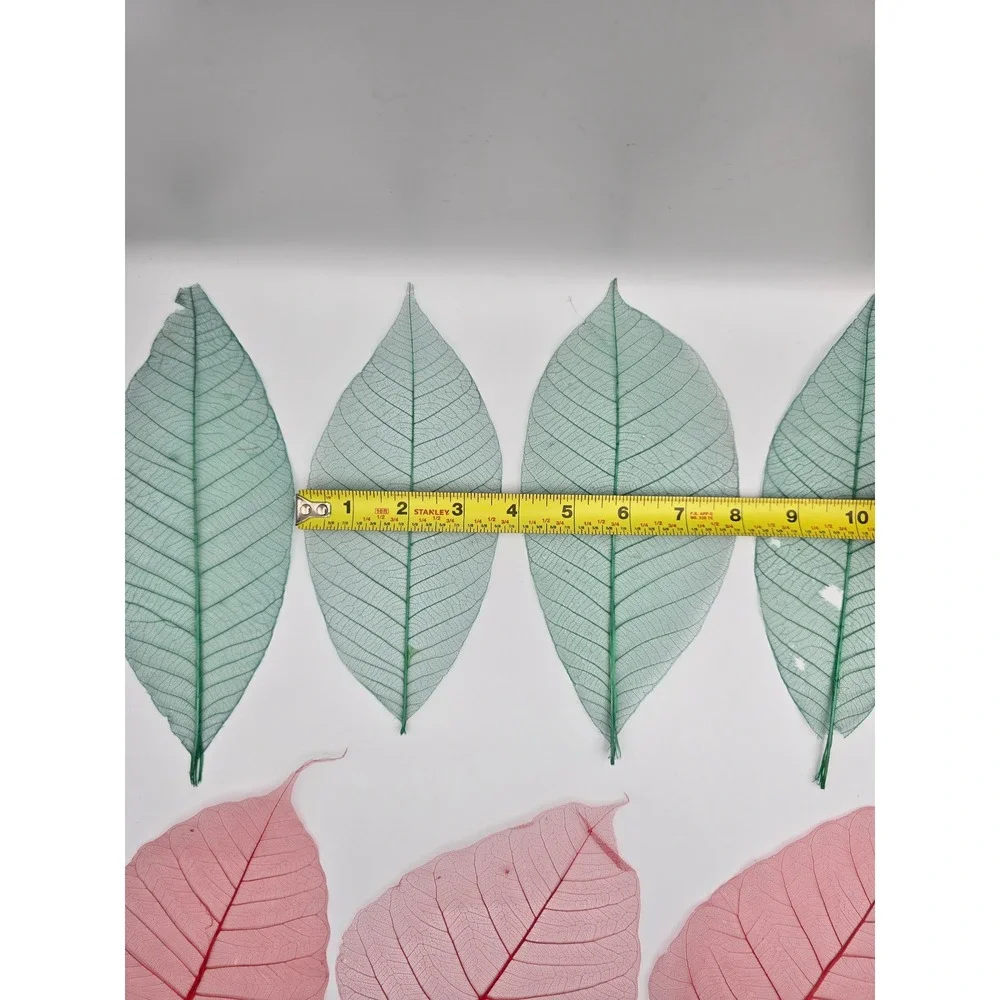 Skeleton Leaves Green Pink‎ Botanical Decor Crafting Floral Arrangements